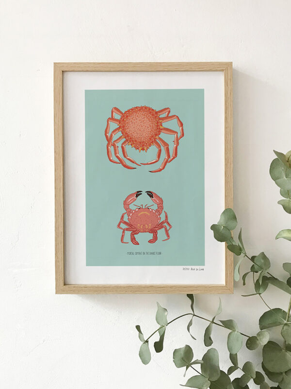 Lámina Atlántico Red de Ana de Lima con peces ilustrados en rojo coral sobre fondo neutro, en composición marina decorativa de gran formato.