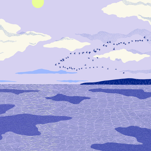 CLOUDS REFLECTION