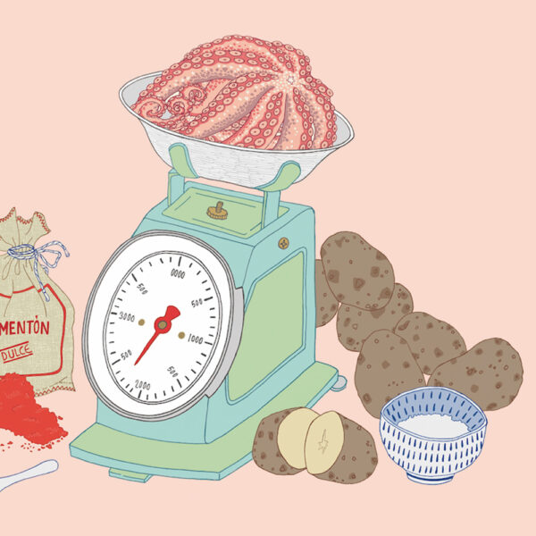 INGREDIENTES PULPO