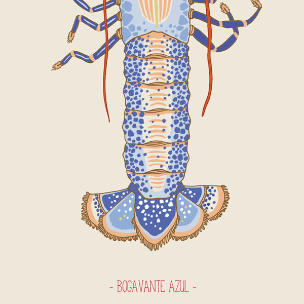 BOGAVANTE