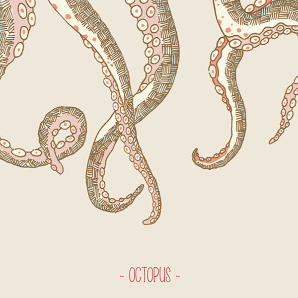 OCTOPUS